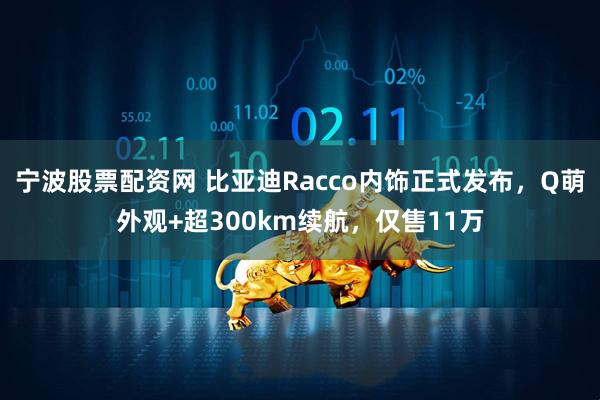 宁波股票配资网 比亚迪Racco内饰正式发布，Q萌外观+超300km续航，仅售11万